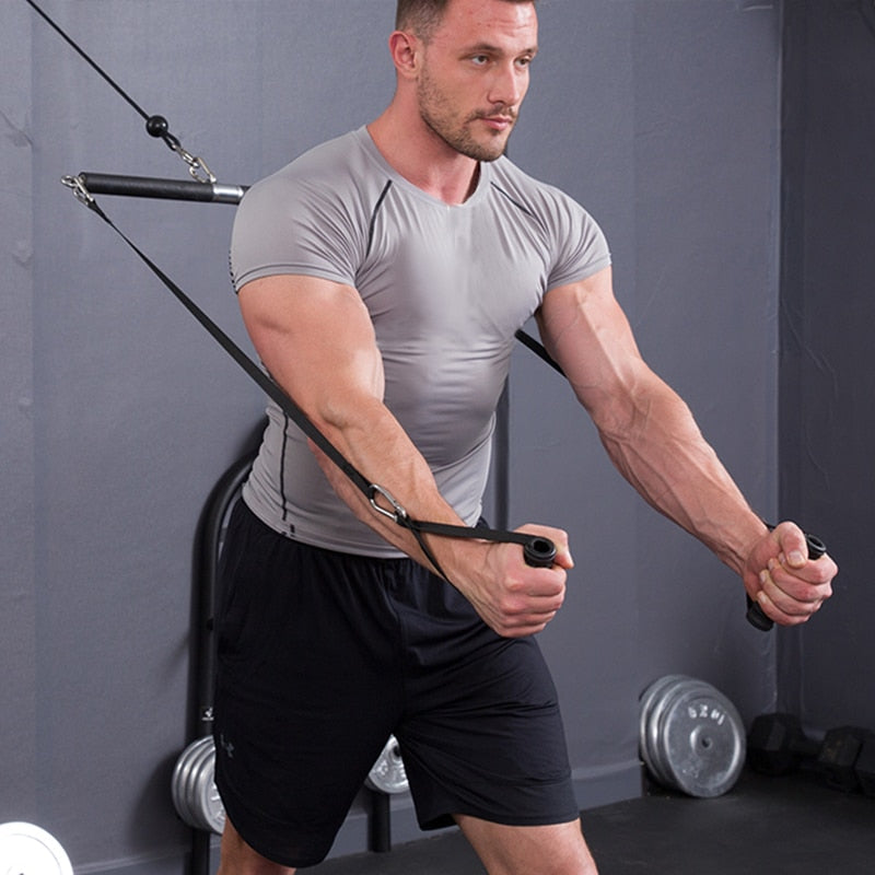 Biceps Triceps Training